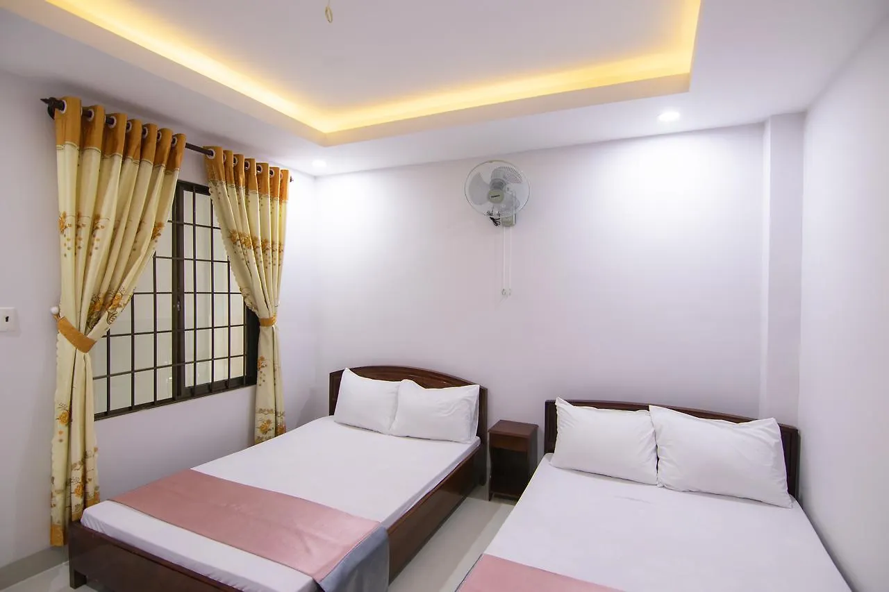 Thé Giang Hotel 붕타우 0*,